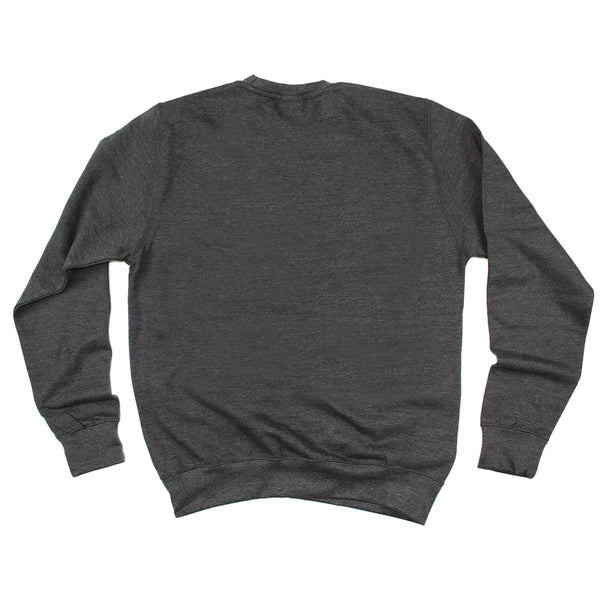 123t Funny Sweatshirt - Powell V2 Team Lifetime Member - Sweater Jumper